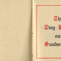 The Tiny Book on Sandwiches, 1905